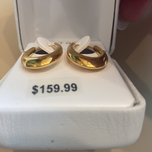 10K Resin thick oval hoop earrings - Picture 8 of 8